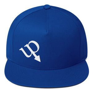 Urban Public "UP Point Down" Flat Bill Cap