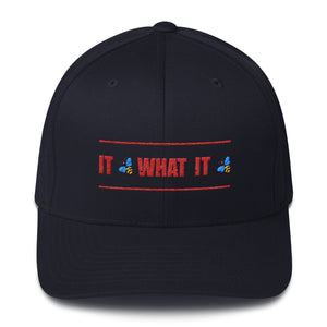 "It Bee What It Bee" Fitted Baseball Cap